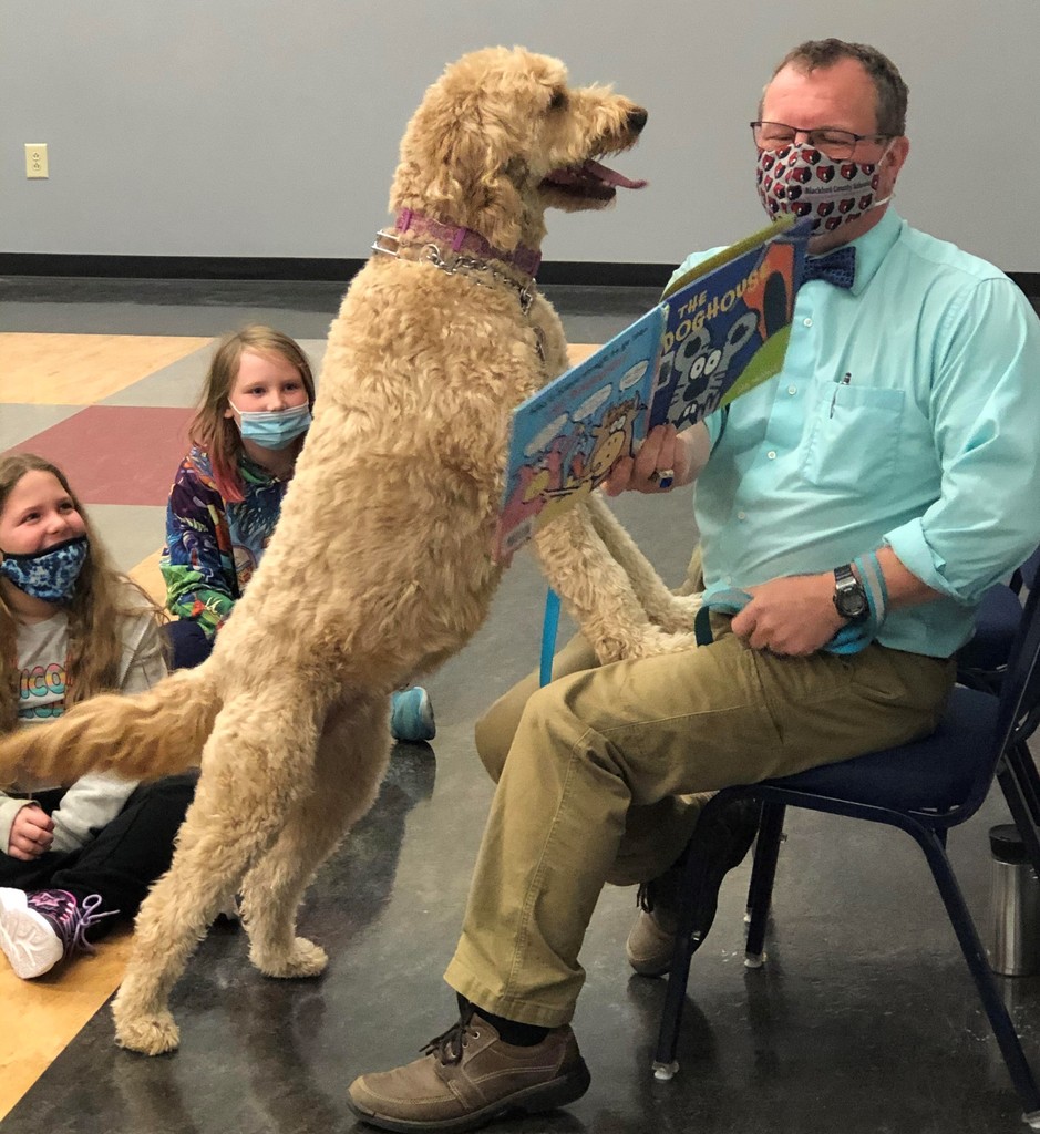 Dog jumps on principal as he reads a story