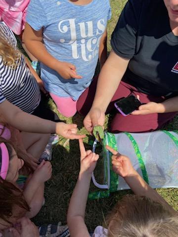 Everyone wants to hold the butterfly!