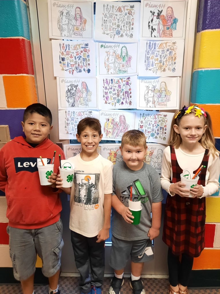 3 boys and 1 girl coloring contest