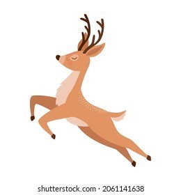 Reindeer