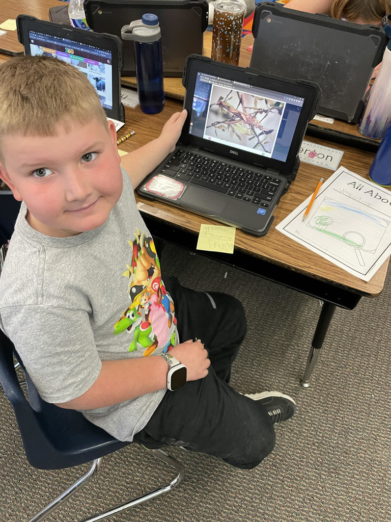 1st grade boy show his computer work