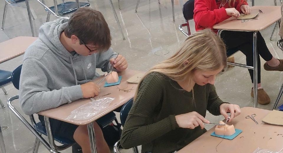 Students practicing their suture techniques