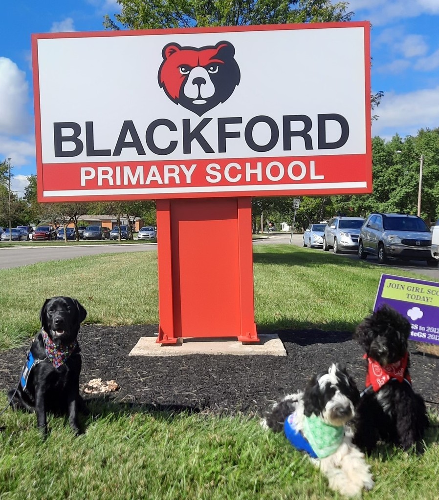 Puppies in front of BPS sign