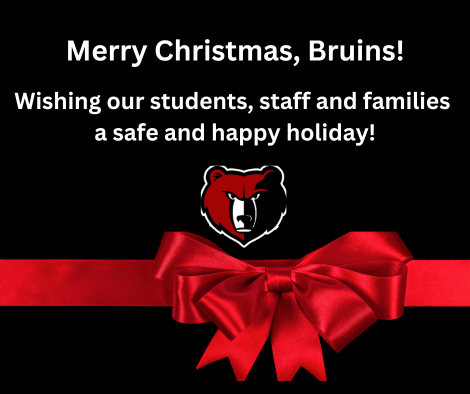 Merry Christmas Bruins