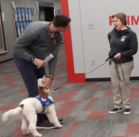 staff member meets visiting canine