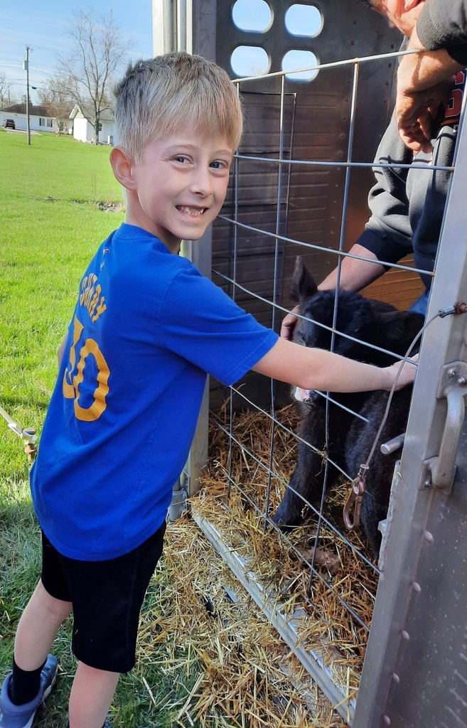 Student meets a calf during Ag Day