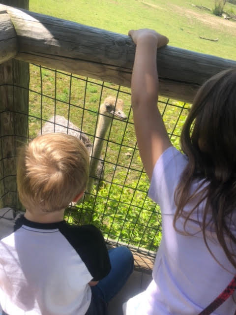BPS 2nd graders at the zoo