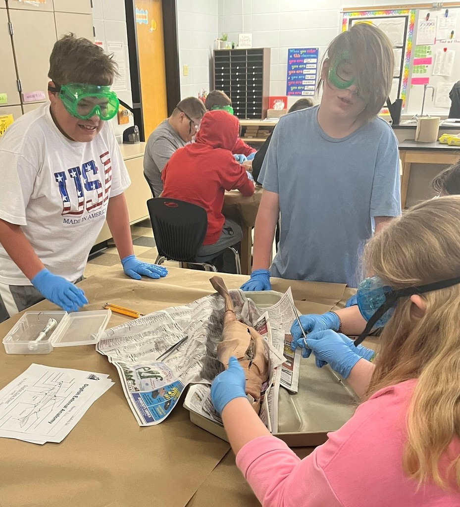 Shark dissection take place at BIS