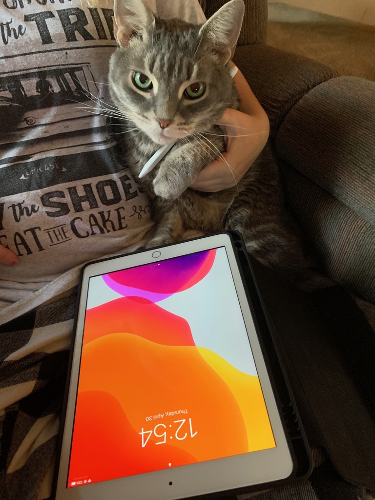 cat with a colorful computer screen