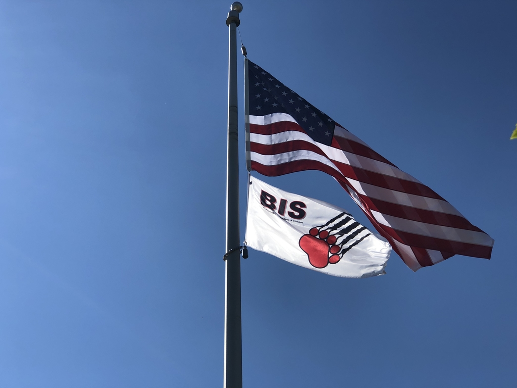 New flags at BIS